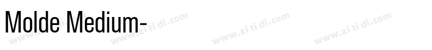 Molde Medium字体转换